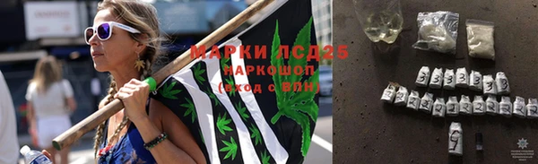 ГАЛЛЮЦИНОГЕННЫЕ ГРИБЫ Кодинск