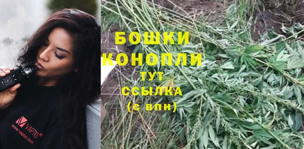 spice Козловка