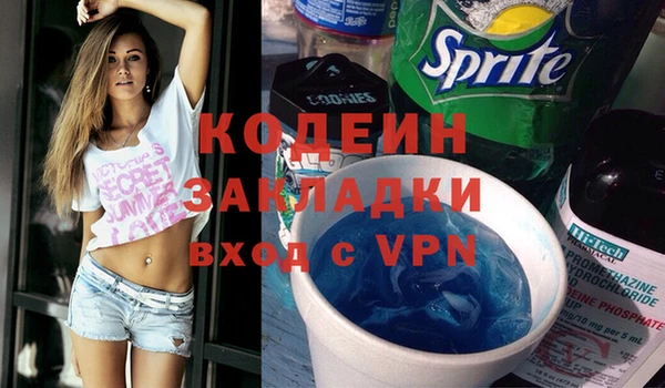 ГАЛЛЮЦИНОГЕННЫЕ ГРИБЫ Кодинск