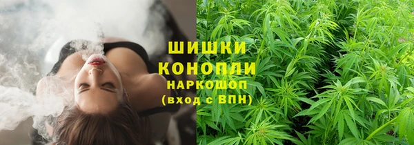 spice Козловка