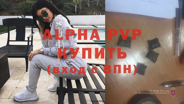 ГАЛЛЮЦИНОГЕННЫЕ ГРИБЫ Кодинск