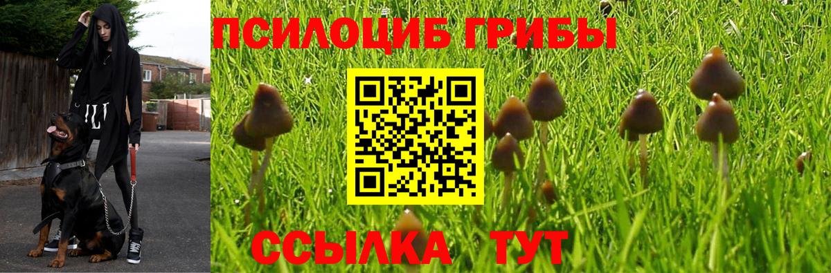 Солнечногорск  Псилоцибиновые грибы Magic Shrooms  Вход с VPN 