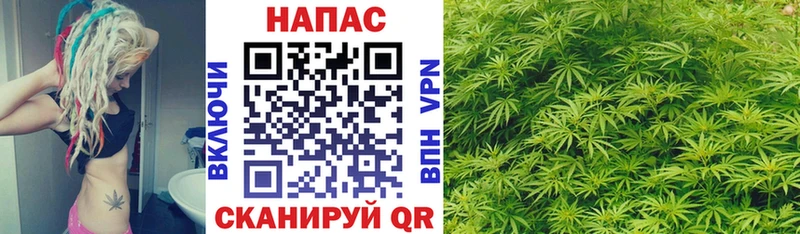 Шишки марихуана конопля  где купить   Солнечногорск 
